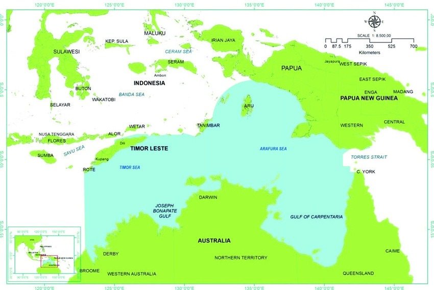 Darwin's Rich Marine Life - Arafura and Timor Seas