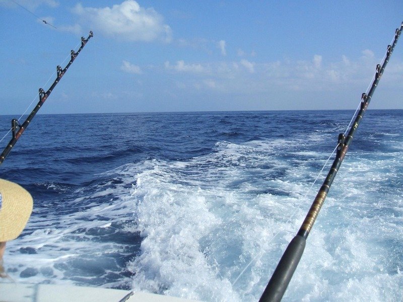 Fishing Techniques