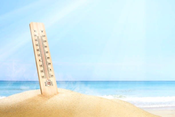Darwin Sea Temperature